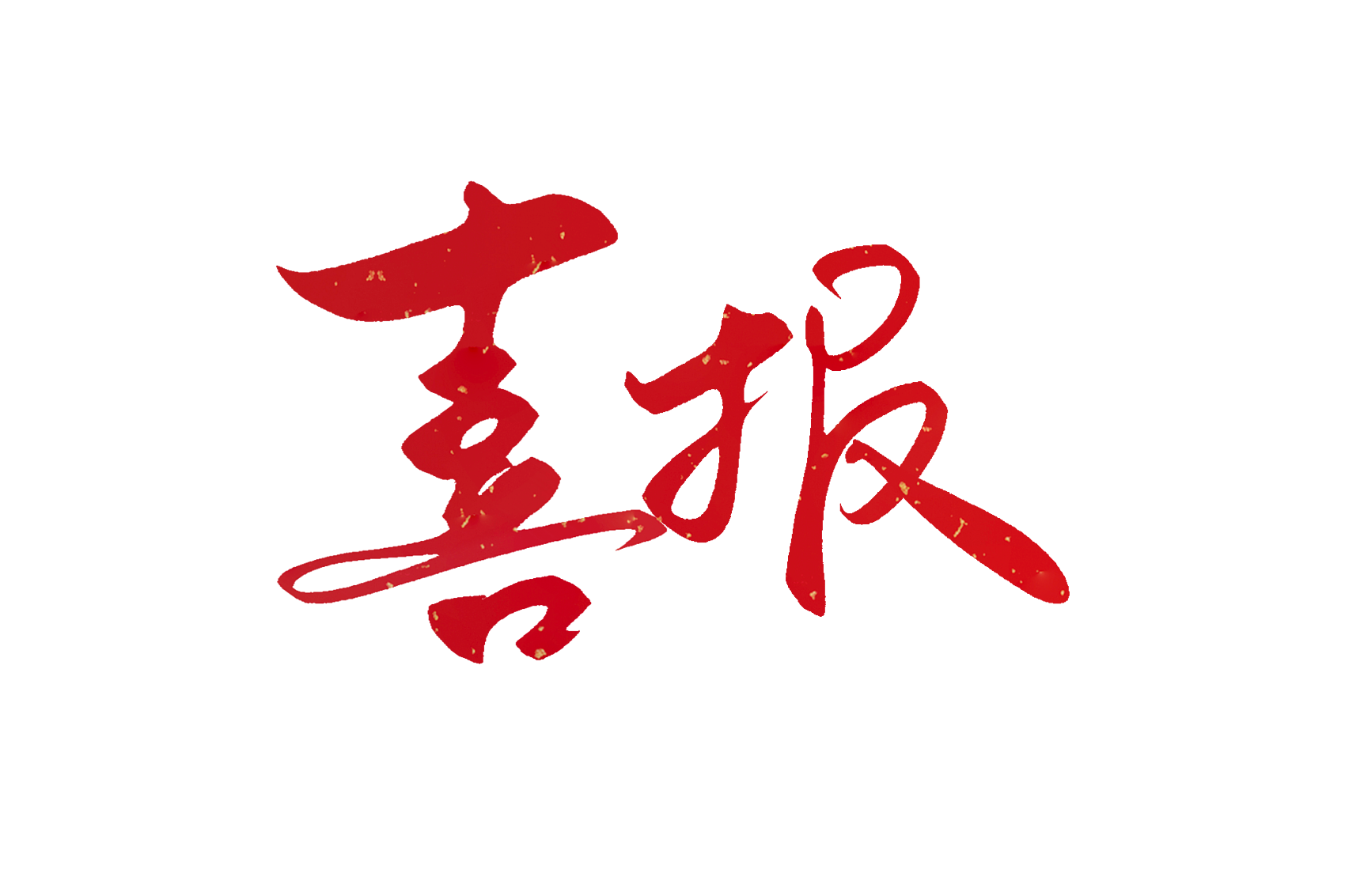 中標喜訊，持續發力